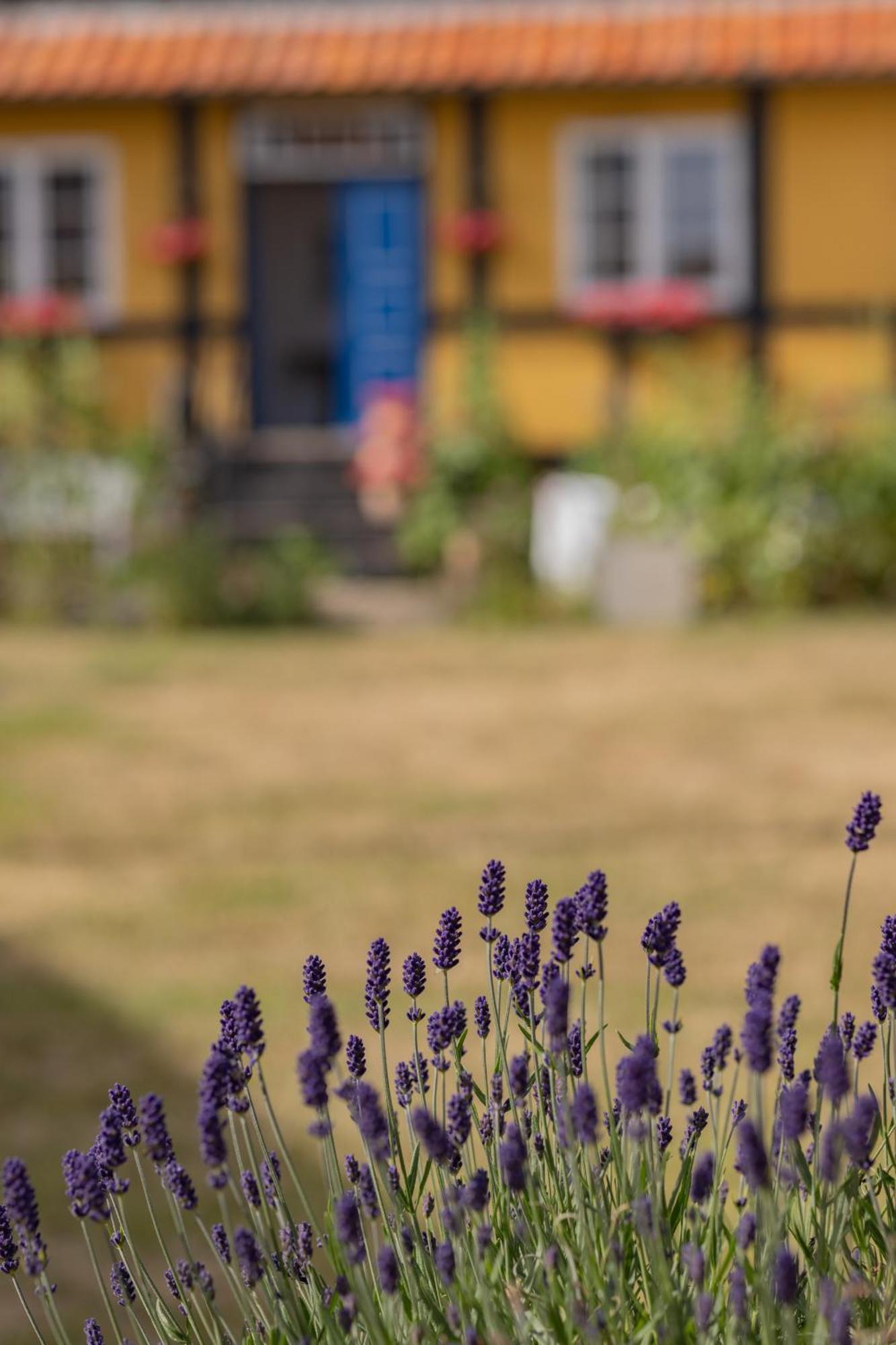 Pension Slaegtsgaarden Allinge-Sandvig Exterior foto